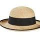 HAT logo