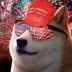MAGA DOGE logo