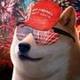 MAGA DOGE logo