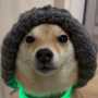 HWH