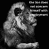 doesnotconcernhimselfwemployment logo