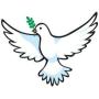 DOVE