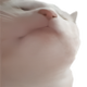 Vibe Cat logo