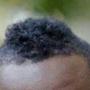 Mohawk