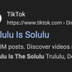 Delulu is the solulu  logo