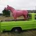 The pink pony logo