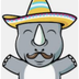 Cinco de Rhino logo