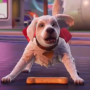 Krypto