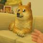 DOGECRAFT