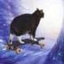 cat on skateboard logo