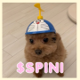 $SPINI