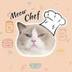 No1 tiktok cat logo