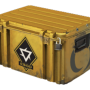 CASE