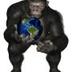 Buy for Team Gorilla logo