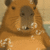 Ghibli Kapibala logo