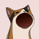 Clap Cat logo