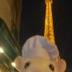 FRENCH EMBASSY MOUSE logo