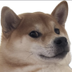 sqoosh  logo