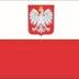 PO POLSKU logo