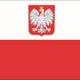 PO POLSKU logo