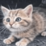 WHISKER