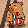Kepci