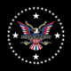 DIPLOMATS logo