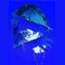 ROKX logo