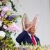 Donald Bunny logo