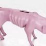 ozempig