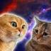 TwoTalkingCats logo