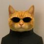 catrix