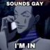 Sounds Gay, Im in logo
