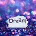 $17 and a dream logo