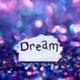 $17 and a dream logo
