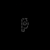 p logo