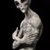 FIRST ALIEN LIFE logo