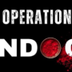 Operation Sindoor logo