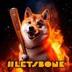 LetsBonk logo