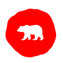 bearcoin
