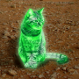 RAYCAT