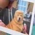 Dognald Trump logo