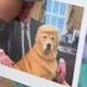 Dognald Trump logo