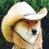 What in Tarnation? logo
