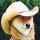 What in Tarnation? logo