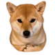LOAF logo