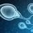 SPERM
