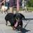 DACH