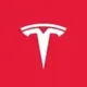 Tesla AI logo