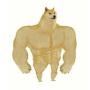 SWOLEDOGE